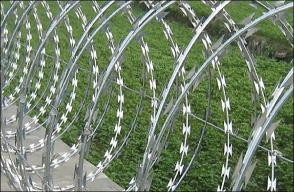 Hot Dipped Galvanized Concertina Barbed Wire in 56 Spirals