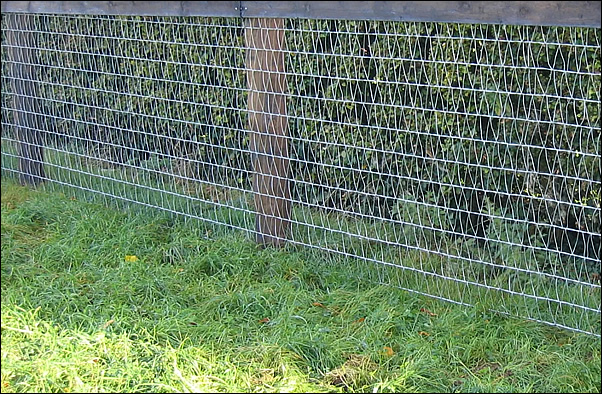 V wire diamond mesh fence for horses