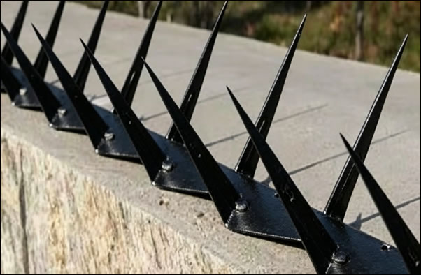 Anti climb razor spike for Perimeter Security