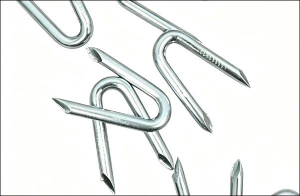 Galv. u staples 2-1/2inch , 6GA, 43 /lb.