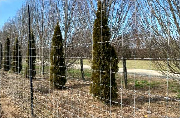 T post fence for wild life control